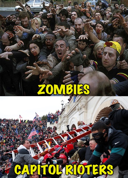They're the same picture | ZOMBIES; CAPITOL RIOTERS | image tagged in zombies approaching,qanon - insurrection - trump riot - sedition | made w/ Imgflip meme maker