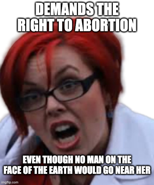 DEMANDS THE RIGHT TO ABORTION; EVEN THOUGH NO MAN ON THE FACE OF THE EARTH WOULD GO NEAR HER | image tagged in abortion is murder,roe | made w/ Imgflip meme maker