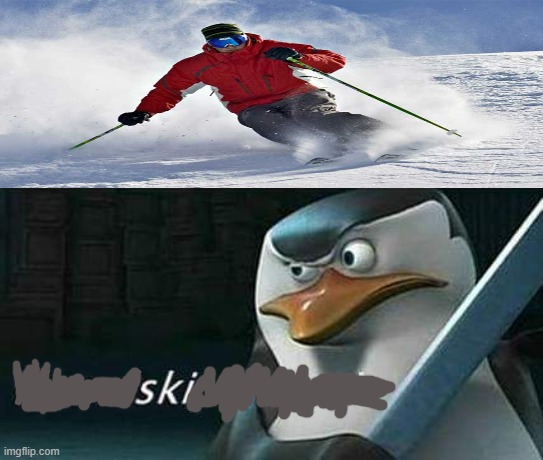 Ski | image tagged in kowalski analysis | made w/ Imgflip meme maker