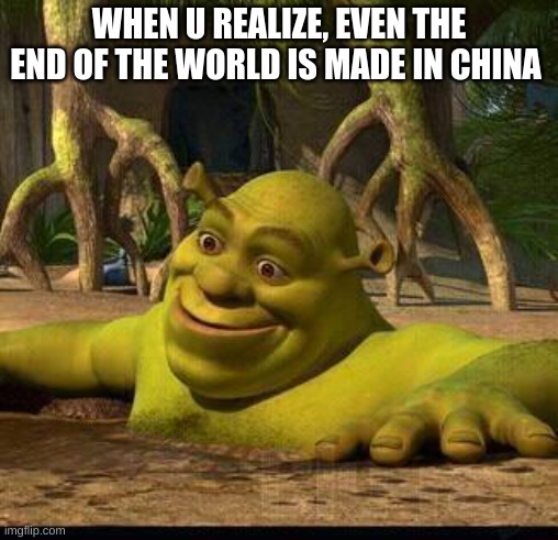 shreck |  WHEN U REALIZE, EVEN THE END OF THE WORLD IS MADE IN CHINA | image tagged in shreck | made w/ Imgflip meme maker