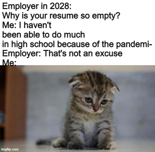 Sad kitten | Employer in 2028: Why is your resume so empty?
Me: I haven't been able to do much in high school because of the pandemi-
Employer: That's not an excuse
Me: | image tagged in sad kitten,oof size large,hide the pain harold,destruction 100,employment,memes | made w/ Imgflip meme maker