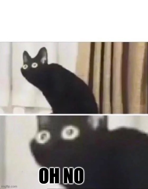 Oh No Black Cat | OH NO | image tagged in oh no black cat | made w/ Imgflip meme maker