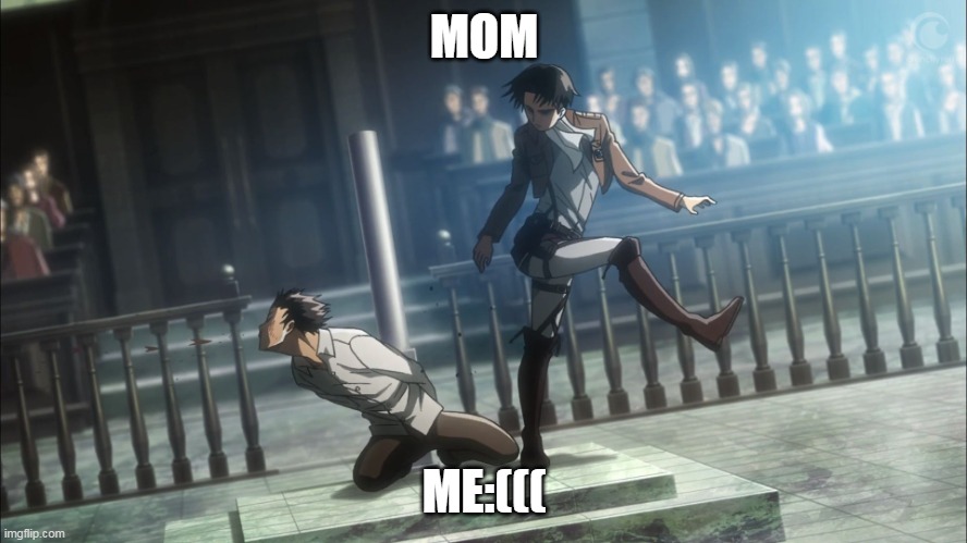 my mom kick me | MOM; ME:((( | image tagged in levi kicking eren attack on titan | made w/ Imgflip meme maker