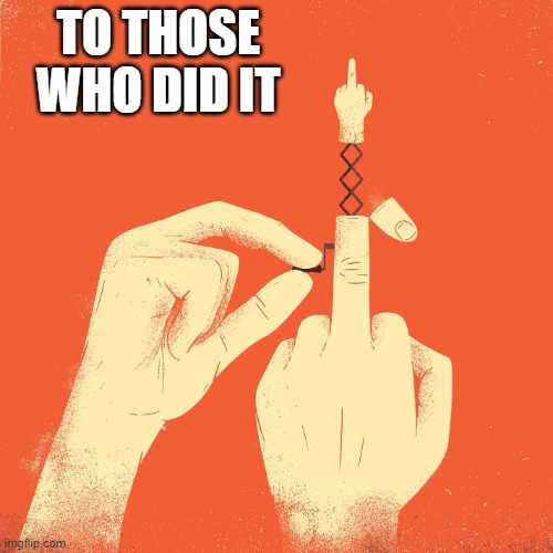 flip off | TO THOSE WHO DID IT | image tagged in flip off | made w/ Imgflip meme maker