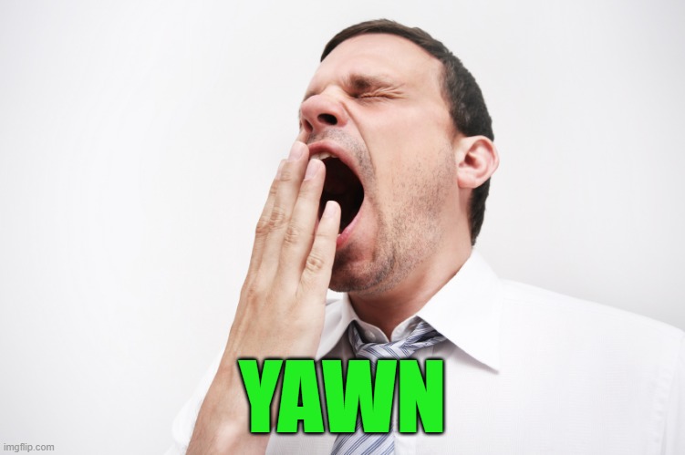 yawn | YAWN | image tagged in yawn | made w/ Imgflip meme maker