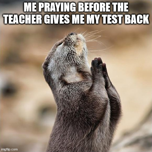 Praying Otter | ME PRAYING BEFORE THE TEACHER GIVES ME MY TEST BACK | image tagged in praying otter | made w/ Imgflip meme maker