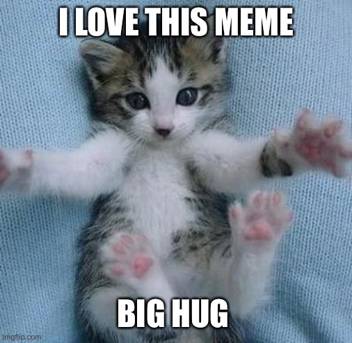 I love you this much  | I LOVE THIS MEME; BIG HUG | image tagged in i love you this much | made w/ Imgflip meme maker