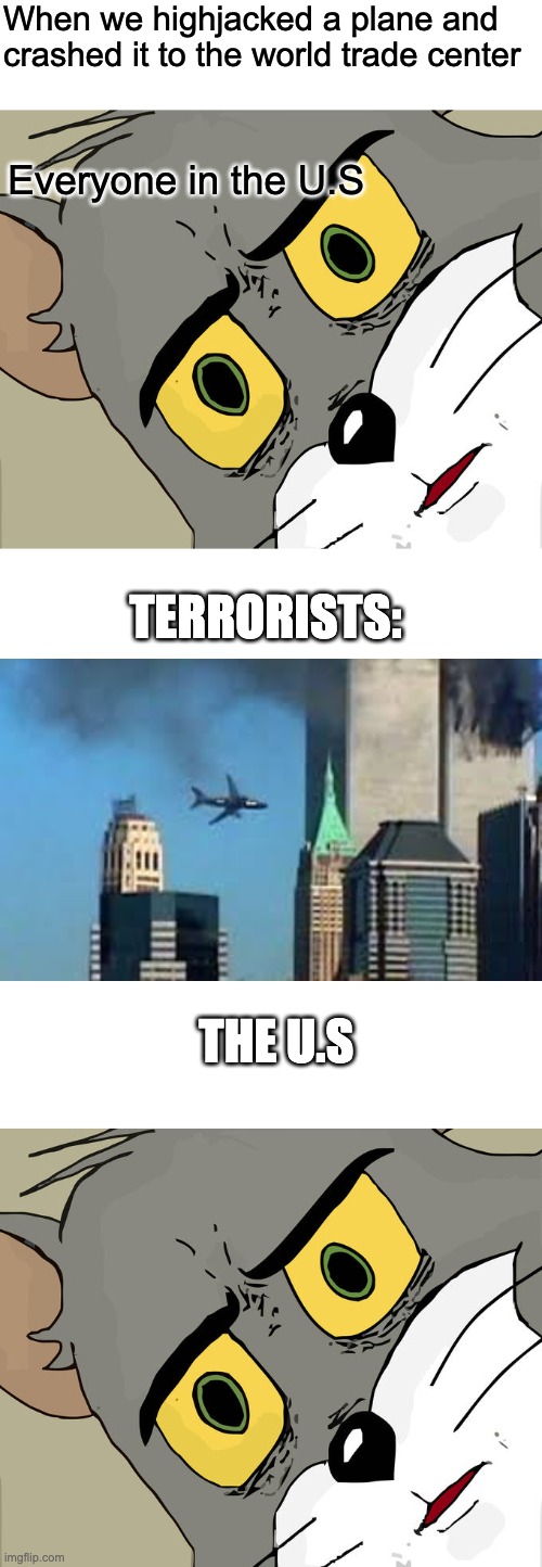 9/11 truly never stop remembering after the down fall | When we highjacked a plane and crashed it to the world trade center; Everyone in the U.S; TERRORISTS:; THE U.S | image tagged in memes,unsettled tom,9/11 plane crash | made w/ Imgflip meme maker