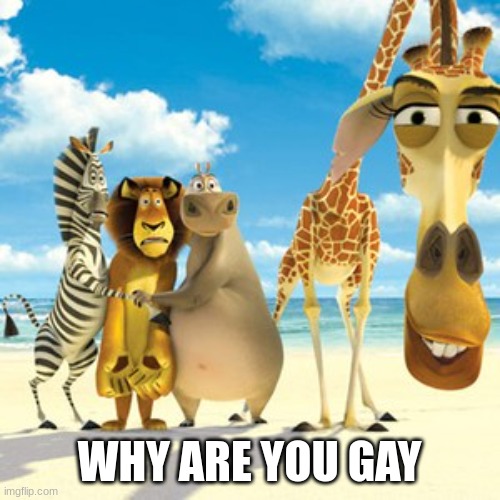why are you white | WHY ARE YOU GAY | image tagged in why are you white | made w/ Imgflip meme maker