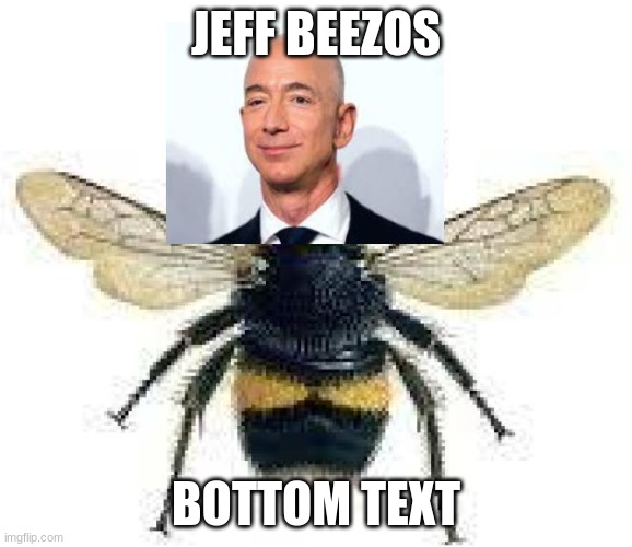 Jeff beezos | JEFF BEEZOS; BOTTOM TEXT | image tagged in jeff bezos,bees,amazon | made w/ Imgflip meme maker