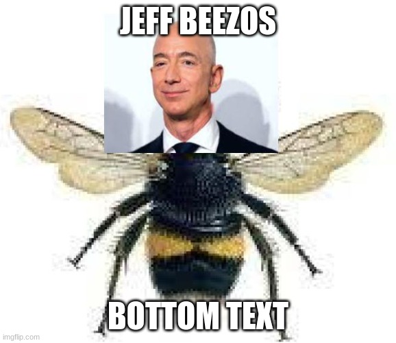 bees Memes & GIFs - Imgflip