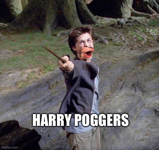 Harry potter | HARRY POGGERS | image tagged in harry potter | made w/ Imgflip meme maker