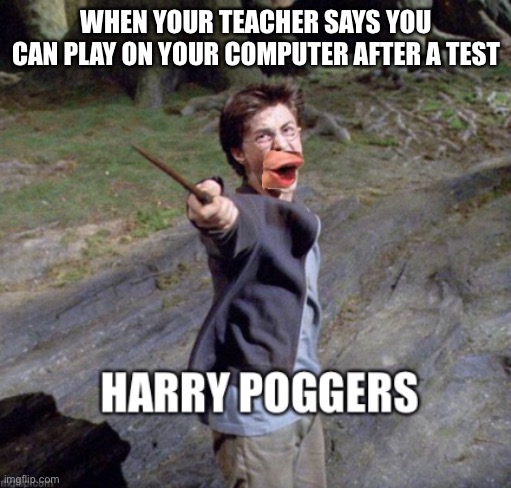NEW TEMPLATE | WHEN YOUR TEACHER SAYS YOU CAN PLAY ON YOUR COMPUTER AFTER A TEST | image tagged in harry poggers,pog | made w/ Imgflip meme maker