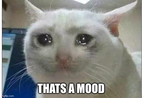 crying cat | THATS A MOOD | image tagged in crying cat | made w/ Imgflip meme maker