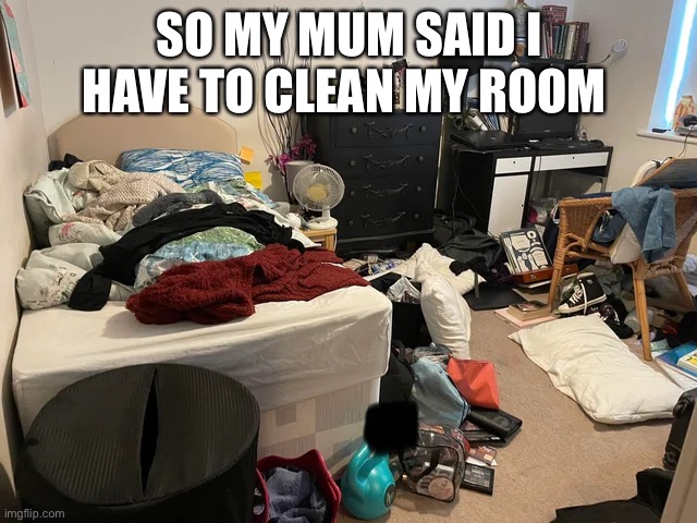 Ya think | SO MY MUM SAID I HAVE TO CLEAN MY ROOM | image tagged in memes | made w/ Imgflip meme maker