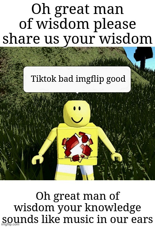 Tiktok bad imgflip good | image tagged in man of wisdom,memes,tiktok sucks | made w/ Imgflip meme maker