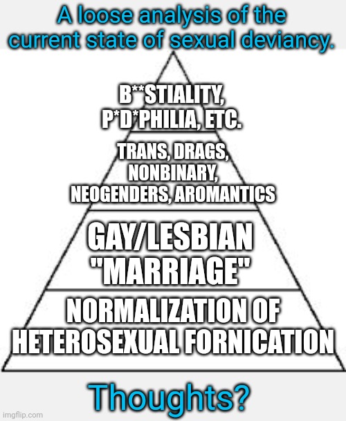 Just occurred to me... | A loose analysis of the current state of sexual deviancy. B**STIALITY, P*D*PHILIA, ETC. TRANS, DRAGS, NONBINARY, NEOGENDERS, AROMANTICS; GAY/LESBIAN "MARRIAGE"; NORMALIZATION OF HETEROSEXUAL FORNICATION; Thoughts? | image tagged in four tier hierarchy | made w/ Imgflip meme maker