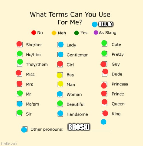 Pronouns Sheet | HELL NO; BROSKI | image tagged in pronouns sheet | made w/ Imgflip meme maker