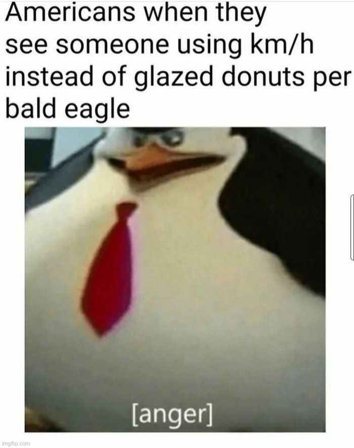 *anger intensifies* | image tagged in memes,funny,america,donuts,bald eagle,lmao | made w/ Imgflip meme maker