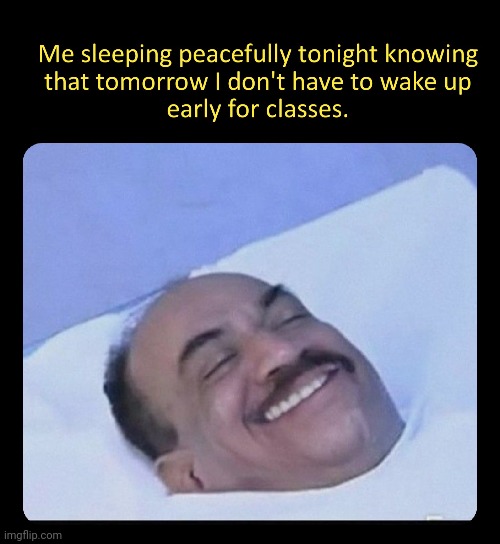 A peaceful sleep | image tagged in sleep,online class | made w/ Imgflip meme maker