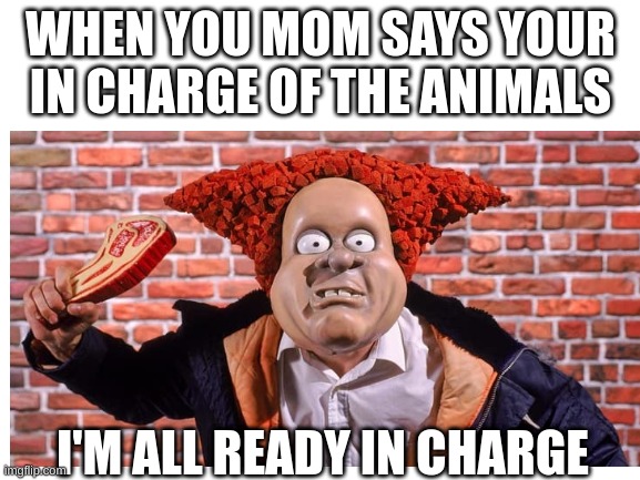 I was the boss from the day I was born | WHEN YOU MOM SAYS YOUR IN CHARGE OF THE ANIMALS; I'M ALL READY IN CHARGE | image tagged in funny,angry kid | made w/ Imgflip meme maker