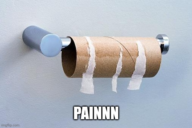 No More Toilet Paper | PAINNN | image tagged in no more toilet paper | made w/ Imgflip meme maker