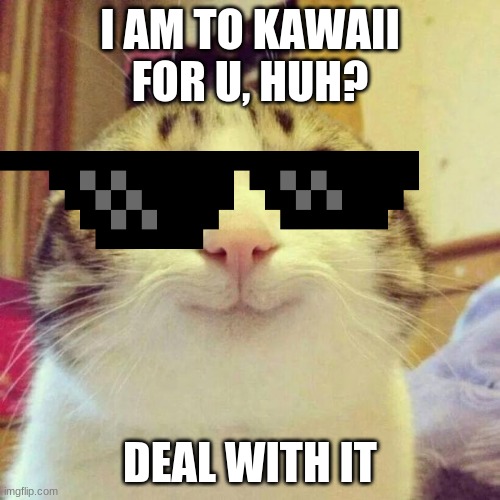 Smiling Cat Meme | I AM TO KAWAII FOR U, HUH? DEAL WITH IT | image tagged in memes,smiling cat | made w/ Imgflip meme maker