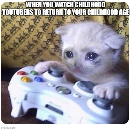that is what iam doing | WHEN YOU WATCH CHILDHOOD YOUTUBERS TO RETURN TO YOUR CHILDHOOD AGE | image tagged in sad cat xbox | made w/ Imgflip meme maker