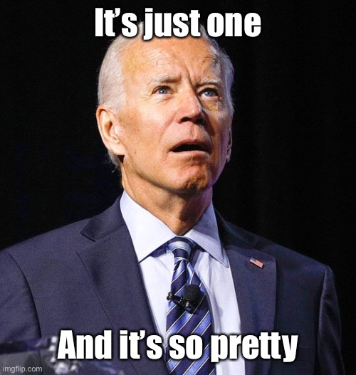 Joe Biden | It’s just one And it’s so pretty | image tagged in joe biden | made w/ Imgflip meme maker