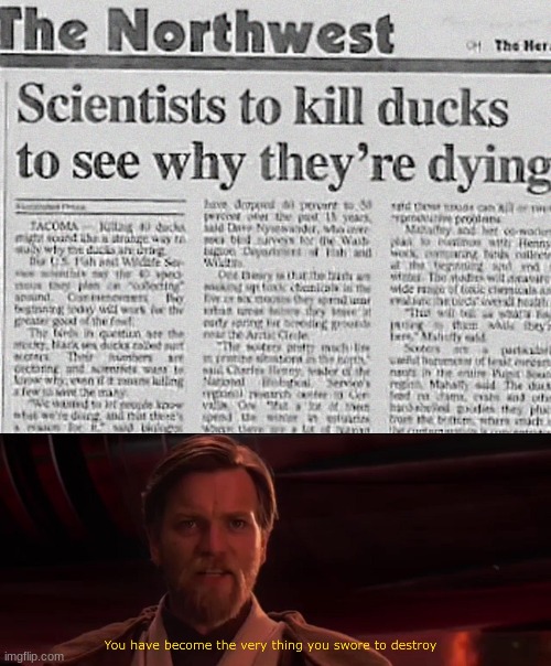 rip ducks lol | image tagged in you have become the very thing you swore to destroy,ducks,confusion,memes,funny | made w/ Imgflip meme maker