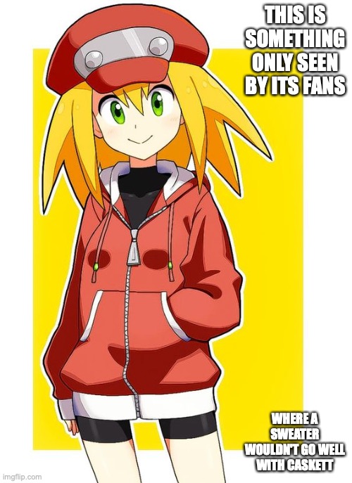 Roll Caskett in a Sweater | THIS IS SOMETHING ONLY SEEN BY ITS FANS; WHERE A SWEATER WOULDN'T GO WELL WITH CASKETT | image tagged in megaman,megaman legends,roll caskett,memes | made w/ Imgflip meme maker