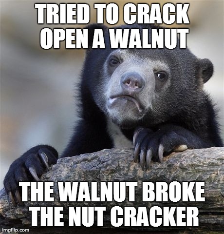 Confession Bear Meme | TRIED TO CRACK OPEN A WALNUT THE WALNUT BROKE THE NUT CRACKER | image tagged in memes,confession bear | made w/ Imgflip meme maker