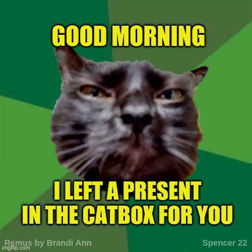 You're Welcome | GOOD MORNING; I LEFT A PRESENT IN THE CATBOX FOR YOU | image tagged in remus,good morning,presents,candy,you're welcome,i love you | made w/ Imgflip meme maker