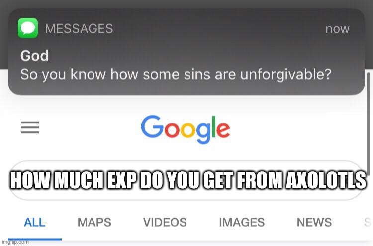 So you know how some sins are unforgivable? | HOW MUCH EXP DO YOU GET FROM AXOLOTLS | image tagged in so you know how some sins are unforgivable | made w/ Imgflip meme maker
