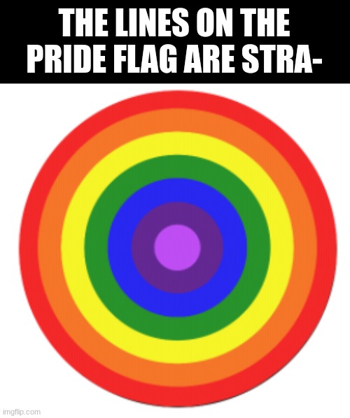 get rekt | THE LINES ON THE PRIDE FLAG ARE STRA- | image tagged in gay | made w/ Imgflip meme maker
