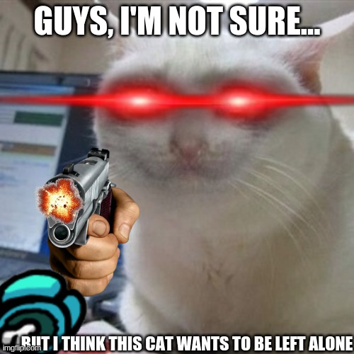Crying cat | GUYS, I'M NOT SURE... BUT I THINK THIS CAT WANTS TO BE LEFT ALONE | image tagged in crying cat | made w/ Imgflip meme maker