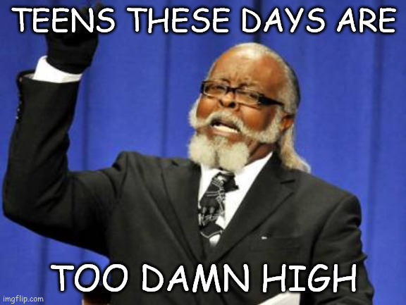 irony: i'm a teen | TEENS THESE DAYS ARE; TOO DAMN HIGH | image tagged in memes,too damn high | made w/ Imgflip meme maker