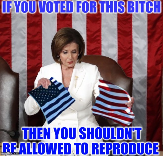 IF YOU VOTED FOR THIS BITCH THEN YOU SHOULDN'T BE ALLOWED TO REPRODUCE | made w/ Imgflip meme maker