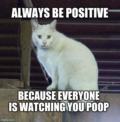 Your Fans Are Watching | ALWAYS BE POSITIVE BECAUSE EVERYONE IS WATCHING YOU POOP | image tagged in i have to poop cat,feta,positive thinking,positivity,positive,poop | made w/ Imgflip meme maker