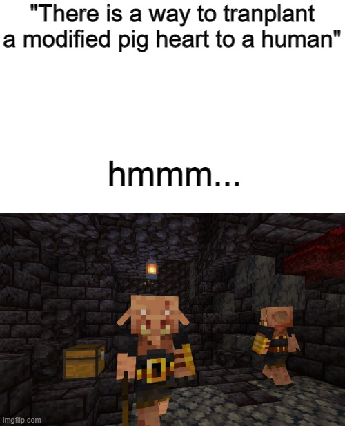 Minecraft lore :O | "There is a way to tranplant a modified pig heart to a human"; hmmm... | image tagged in piglin brute,memes | made w/ Imgflip meme maker