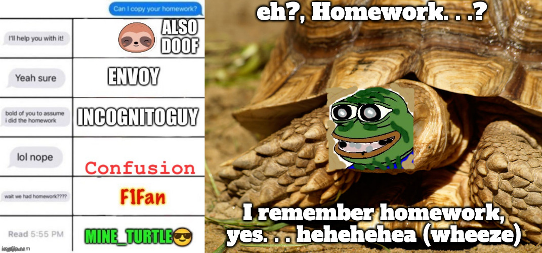 eh?, Homework. . .? I remember homework, yes. . . hehehehea (wheeze) | image tagged in sulcata tortoise | made w/ Imgflip meme maker