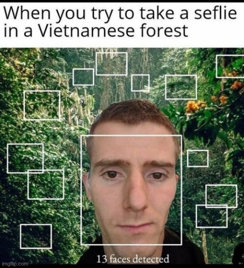 image tagged in why are the trees speaking vietnamese | made w/ Imgflip meme maker