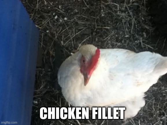 Angry Chicken Boss Meme | CHICKEN FILLET | image tagged in memes,angry chicken boss | made w/ Imgflip meme maker