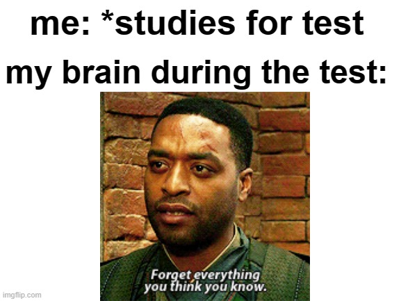 true | me: *studies for test; my brain during the test: | image tagged in relatable | made w/ Imgflip meme maker