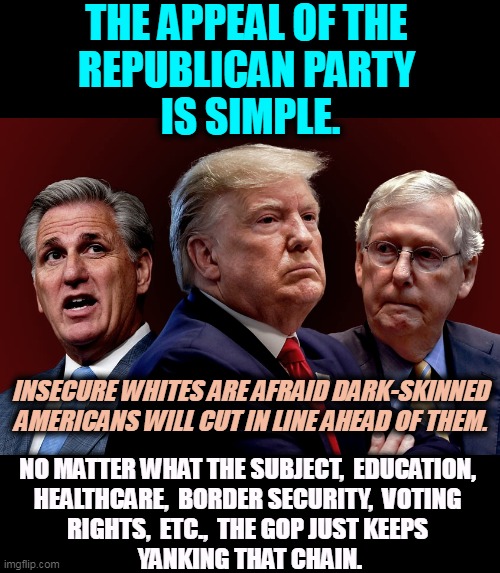 The Republican deck has 52 race cards. | THE APPEAL OF THE 
REPUBLICAN PARTY 
IS SIMPLE. INSECURE WHITES ARE AFRAID DARK-SKINNED AMERICANS WILL CUT IN LINE AHEAD OF THEM. NO MATTER WHAT THE SUBJECT,  EDUCATION, 
HEALTHCARE,  BORDER SECURITY,  VOTING 
RIGHTS,  ETC.,  THE GOP JUST KEEPS 
YANKING THAT CHAIN. | image tagged in mccarthy trump mcconnell evil bad for america,republicans,racist | made w/ Imgflip meme maker