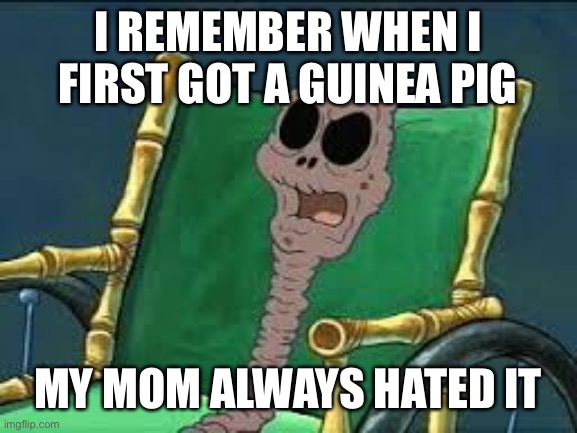 I remember when | I REMEMBER WHEN I FIRST GOT A GUINEA PIG MY MOM ALWAYS HATED IT | image tagged in i remember when | made w/ Imgflip meme maker