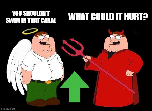 good peter-bad peter | YOU SHOULDN'T SWIM IN THAT CANAL WHAT COULD IT HURT? | image tagged in good peter-bad peter | made w/ Imgflip meme maker