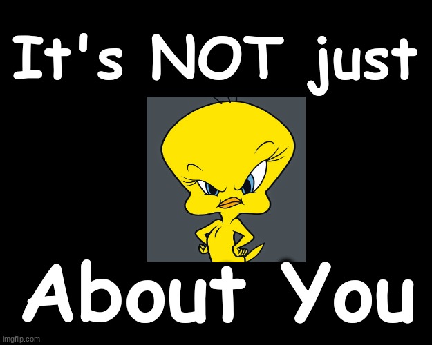 It's NOT just about YOU | It's NOT just; About You | image tagged in tweety bird | made w/ Imgflip meme maker