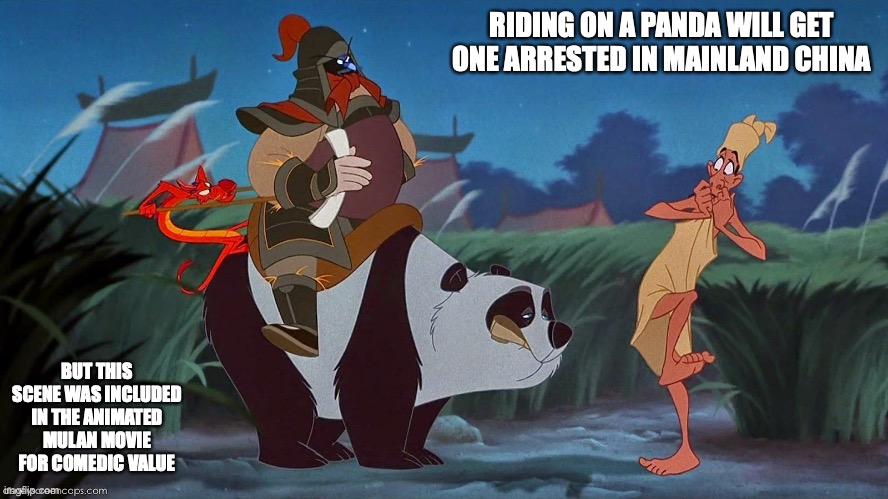 Mulan 1999 Panda Scene | RIDING ON A PANDA WILL GET ONE ARRESTED IN MAINLAND CHINA; BUT THIS SCENE WAS INCLUDED IN THE ANIMATED MULAN MOVIE FOR COMEDIC VALUE | image tagged in mulan,memes | made w/ Imgflip meme maker