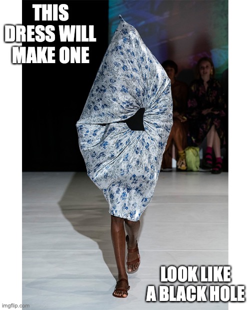 Black Hole Dress | THIS DRESS WILL MAKE ONE; LOOK LIKE A BLACK HOLE | image tagged in runway fashion,memes | made w/ Imgflip meme maker